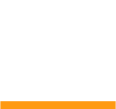 section icon